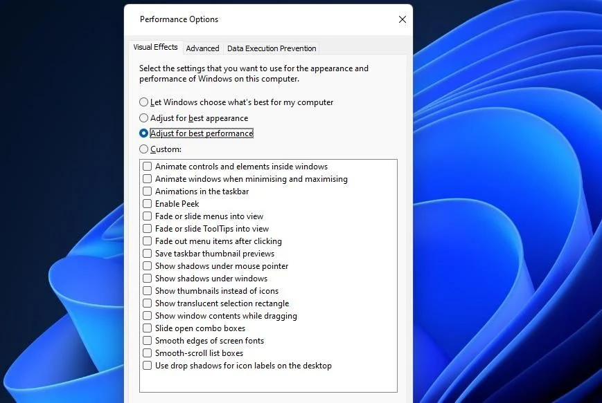 5. Adjust Performance Options: