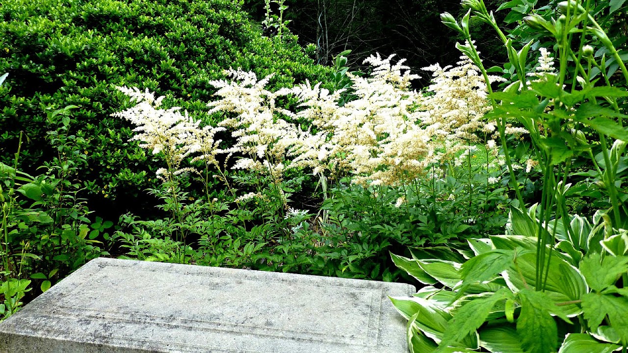 Sissinghurst Castle Garden White