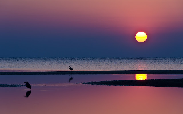 Hermosa Puesta de Sol en la Playa