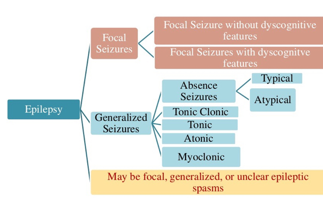 Epilepsy: Classification