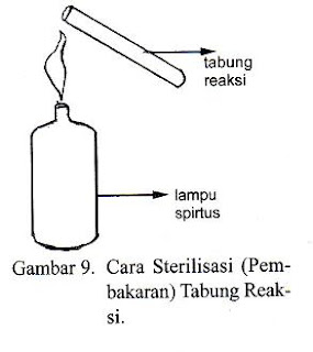 BUDIDAYA JAMUR BUDIDAYA JAMUR KUPING