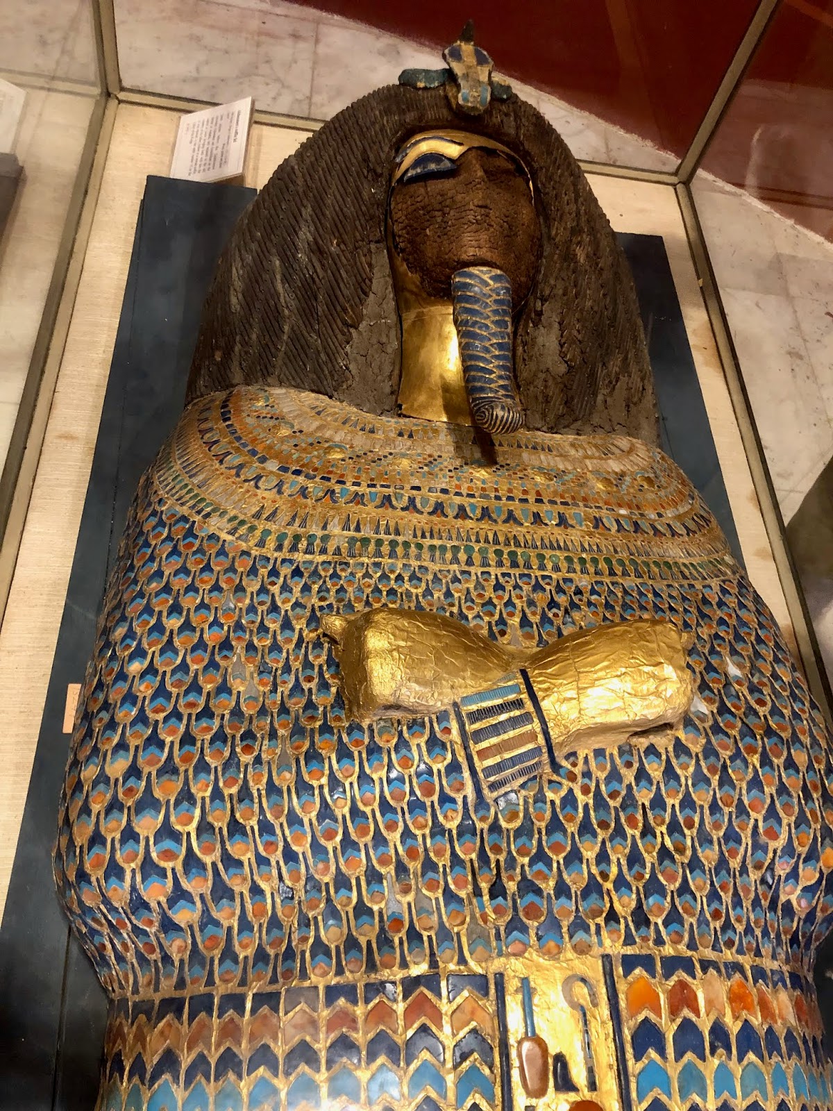 Akhenaton | MyBrain