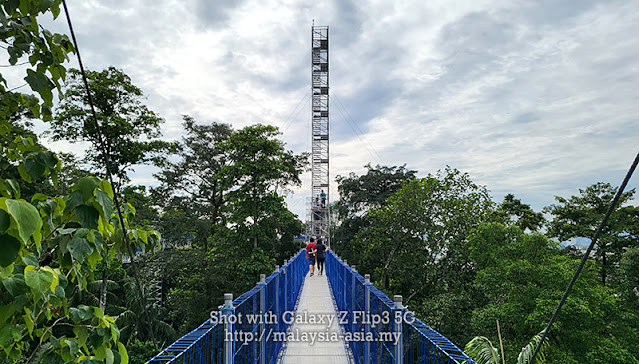 Lookout Tower Forest Skywalk