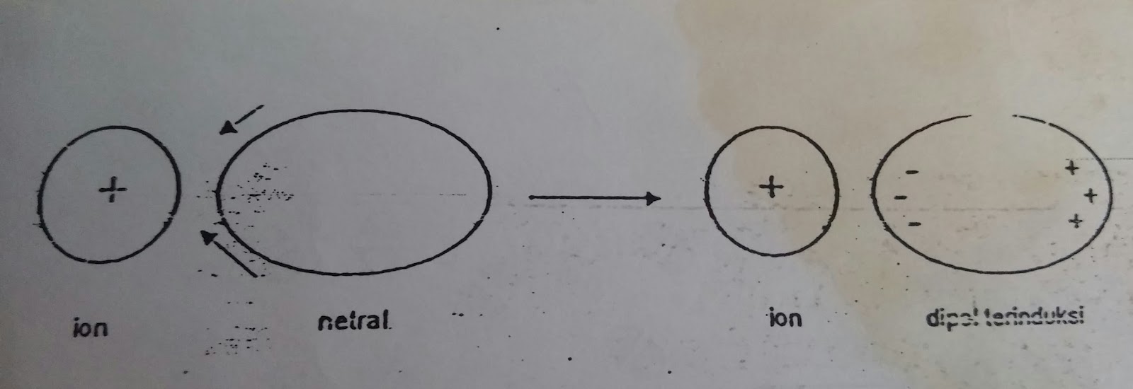 Gaya Antar Molekul Your Chemistry A