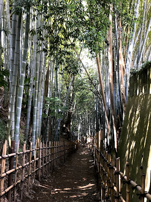 【吉方位旅行番外編】佐倉で武家屋敷を見学したら源泉かけ流しスーパー銭湯へGO!