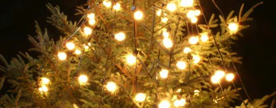 90_15_57---Christmas-Tree_web.6qtuSTV4RjbM.jpg