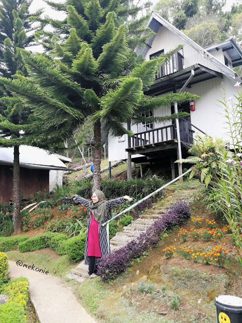 PENGINAPAN DI SABAH : KIRAM'S VILLAGE,KUNDASANG SABAH