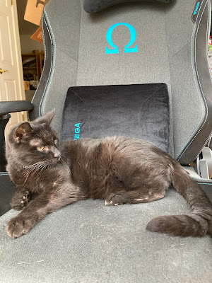 Black cat sprawled on a desk chair.