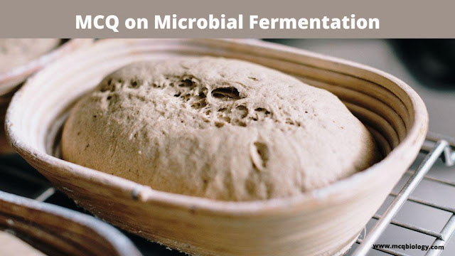 MCQ on  Microbial Fermentation