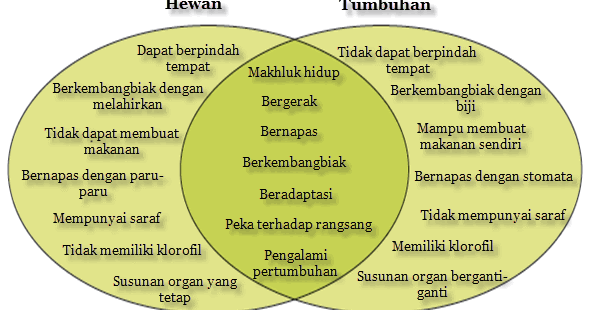 Kunci Jawaban Kelas 4 Tema 3 Persamaan Hewan  dan Tumbuhan 