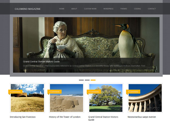 55+ Free And Premium Quality WordPress Themes.