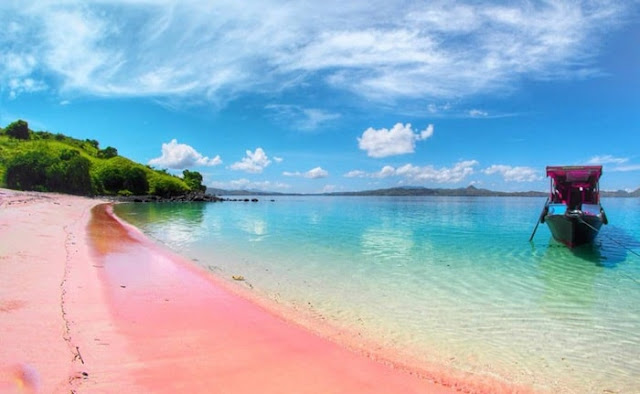 pantai pink lombok timur