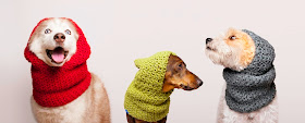 Cuellos para perro con capucha de lana modelo Suecia