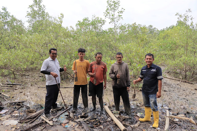 Peduli Lingkungan, PT Timah Tbk Menanam dan Menyulam 2500 Bibit Mangrove di Kundur