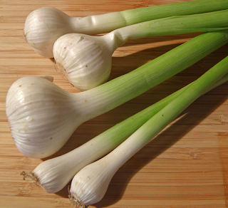 Bunch of Green Garlic of Different Sizes