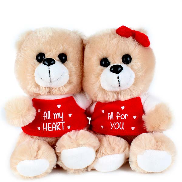 Sweet Teddy Bear Couple Pics