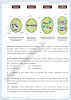 cell-cycle-detailed-question-answers-biology-9th