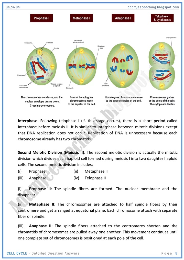 cell-cycle-detailed-question-answers-biology-9th