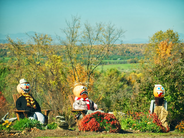 Muñecos calabaza en la carretera a Orwell, Vermont