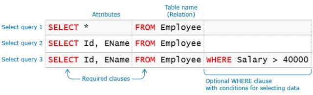 DML Statements - Retrieving Data || DBMS Tutorial 7
