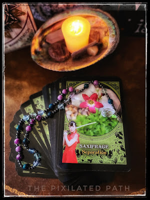 Saxifrage Card from the Flower Magic Oracle by Rachel Patterson