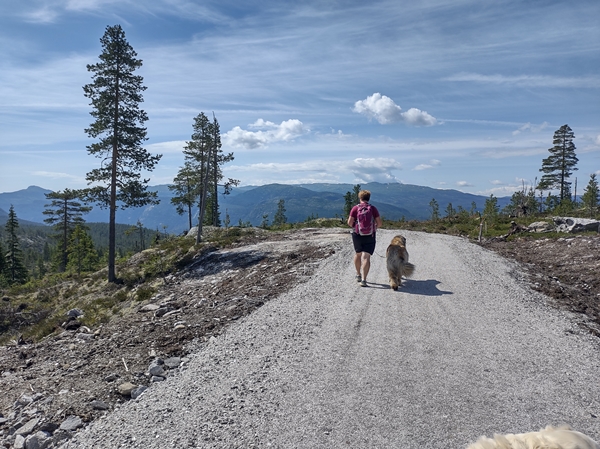 hallingdal flå turufjell stolpejakt