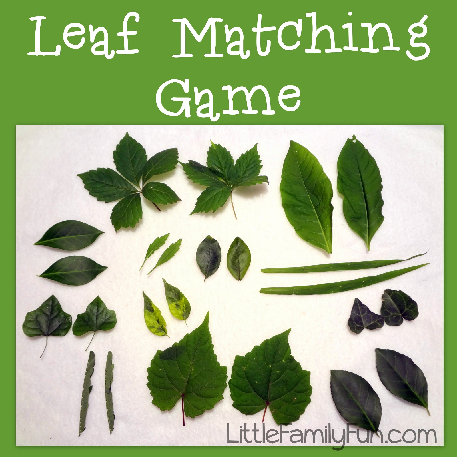 Leaf Matching Game