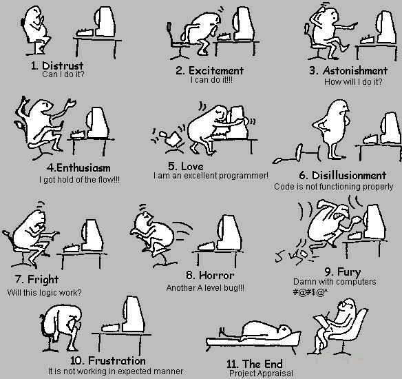 Programmer's Emotions