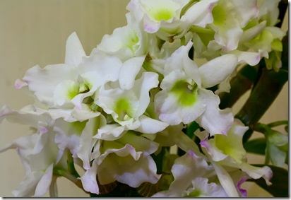 IMG_7811_edit