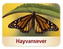 Hayvansever