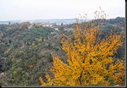 IMG_5722