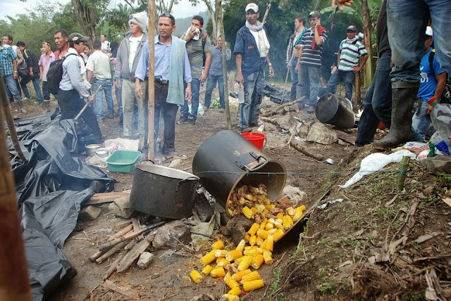 FORO REGIONAL AMBIENTAL DEL TOLIMA: SABERES Y LUCHAS EN DEFENSA DEL TERRITORIO