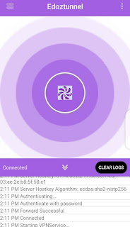 Edoztunnel VPN connected