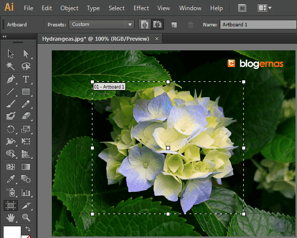 Cara Crop Gambar dengan Adobe Illustrator