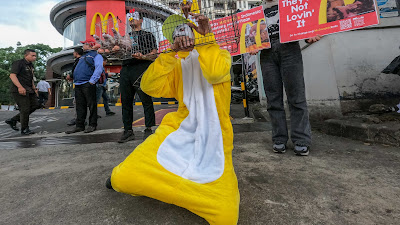 AFJ Minta McDonald’s Komitmen Hanya Gunakan Telur Ayam Bebas Sangkar