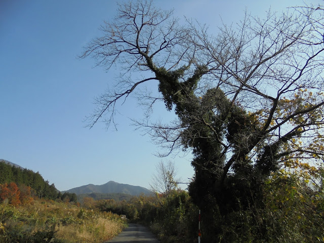 どんぐり村に向かいます