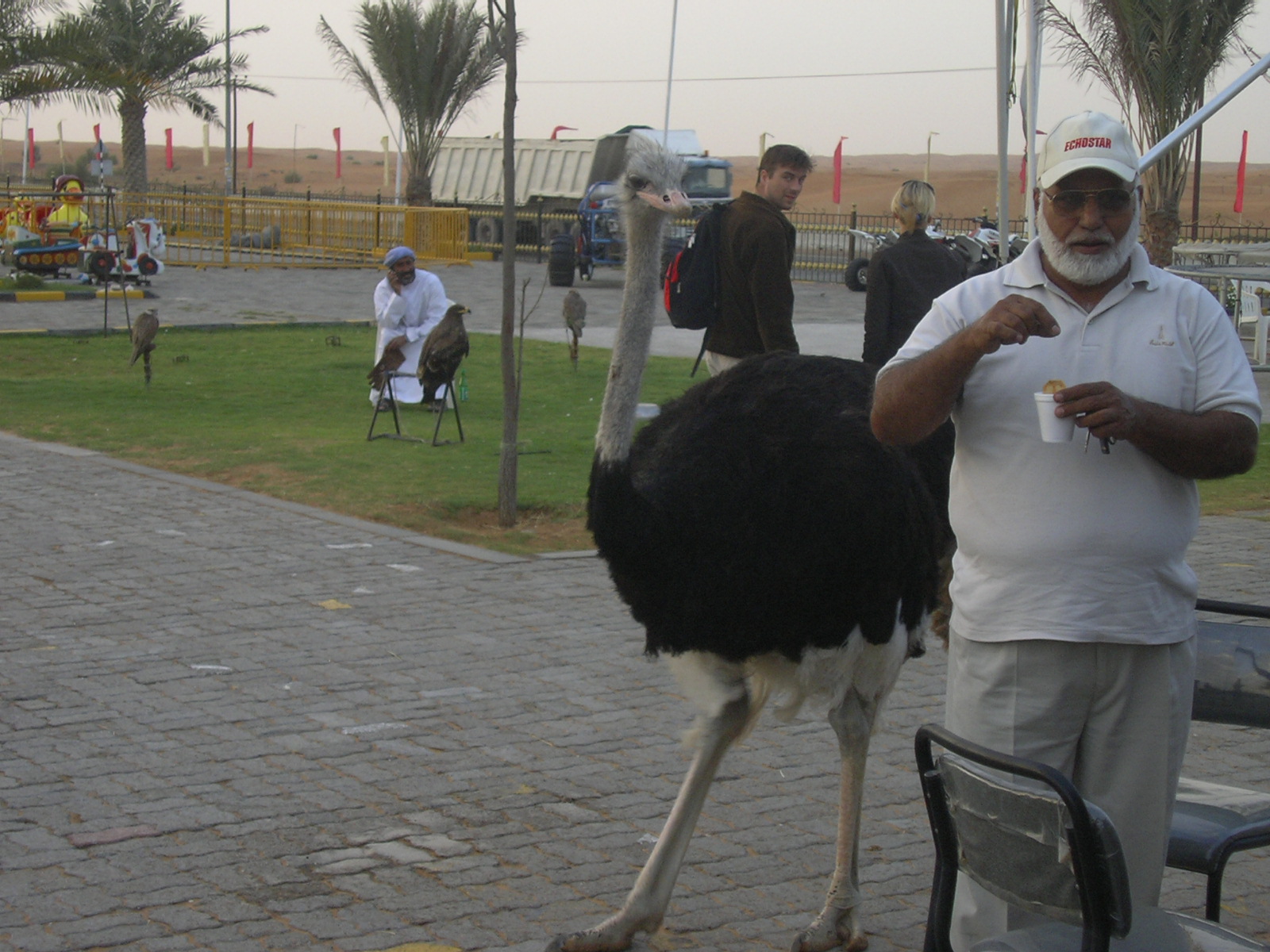 Pentru dubai trebuie viza