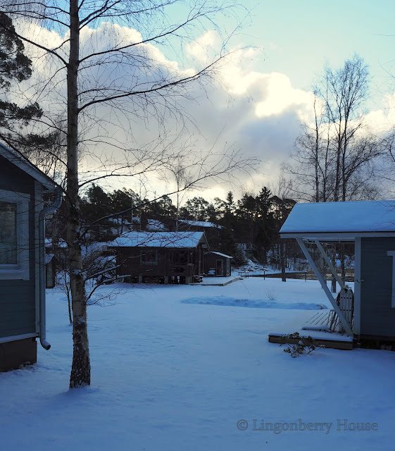 lingonberryhouse, talvi, winter, lumi, snow, mökki, leisure home