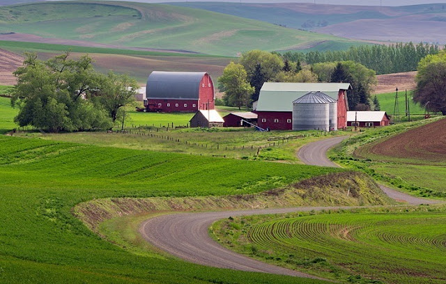 Padang Rumput Palouse Paling Cantik Di Dunia [ www.BlogApaAja.com ]