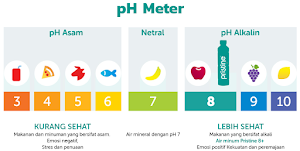 Detoksifikasi Tubuh Dengan Konsumsi Air Alkali