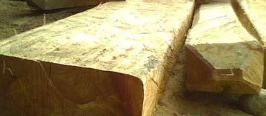  yaitu jenis kayu khas dari daerah tropis Kayu Bayur !!!