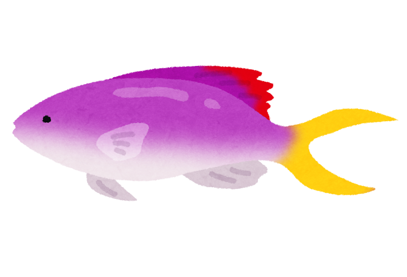 ハナゴイのイラスト 熱帯魚 かわいいフリー素材集 いらすとや