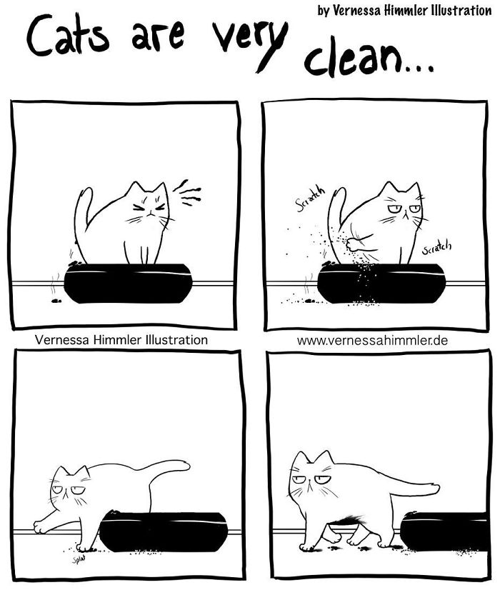 30 Hilarious Comics All Cat Lovers Will Adore