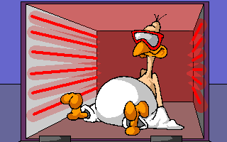 sauna