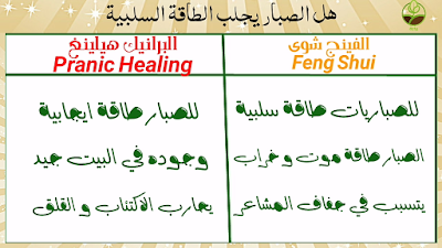  الصبار و الطاقة السلبية، بين الفينج شوي و البرانيك هيلينغ