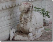 Nandi