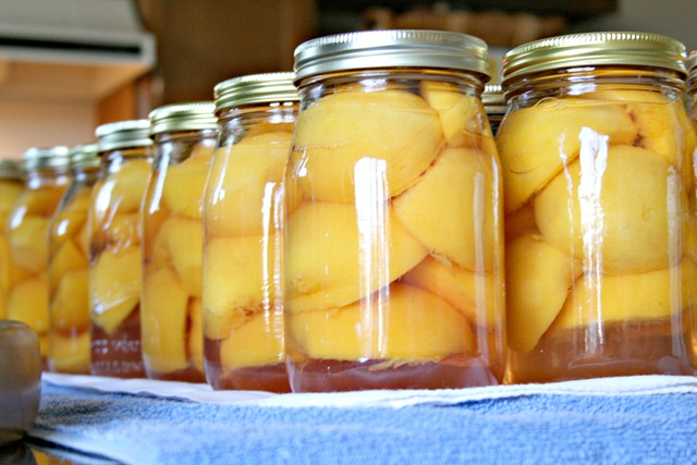 Peaches 2