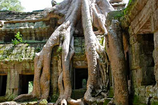 Ta Prohm Tomb Rader Cambodia