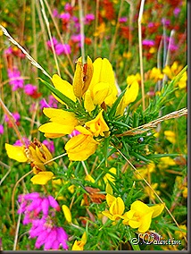 P1180202