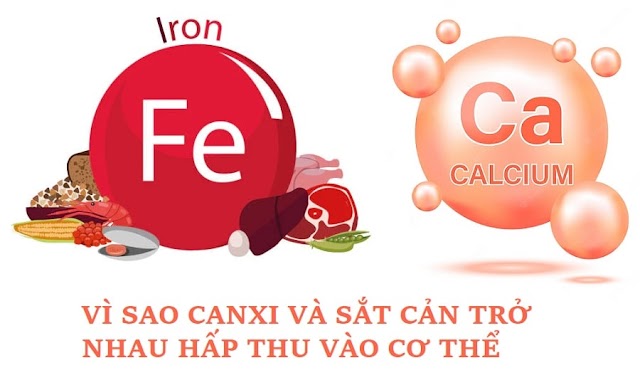 Vì sao canxi cản trở hấp thụ sắt?